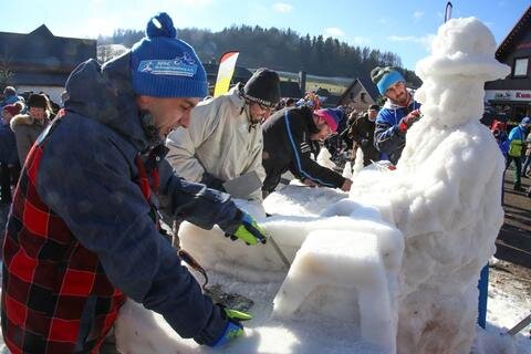 <p>
	&quot;Bauen Sie etwas Kreatives aus Eis und Schnee&quot;, so lautete die Aufgabe an die teilnehmenden Wintersportorte.</p>
