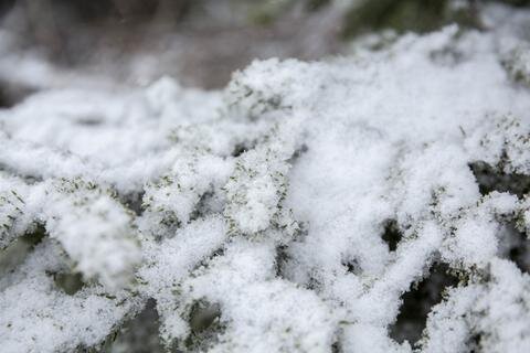 <p>
	Laut Prognosen des Deutschen Wetterdienstes kann es auch am Sonntag schneien. (bemä/fp)</p>
