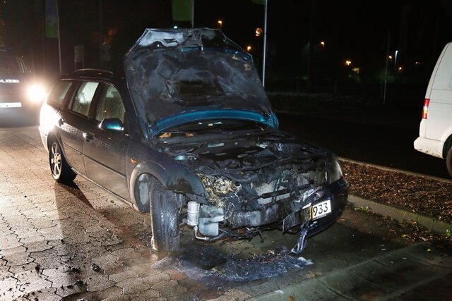 <p xmlns:php="http://php.net/xsl">Drei Autos haben in der Nacht zu Sonntag in Chemnitz gebrannt.</p>
