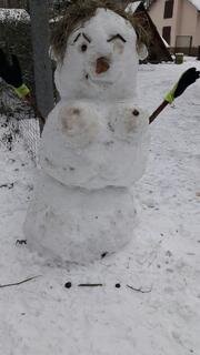 <p>Kerstin Sturm entdeckte diese Schneefrau am Tiergehege im Crimmitschauer Sahnpark - und fotografiert sie.</p>
