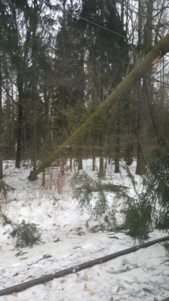<p>Der Bahnverkehr zwischen Glauchau und Hohenstein-Ernstthal war wegen eines umgestürzten Baumes, der auf den Gleisen lag, unterbrochen.</p>
