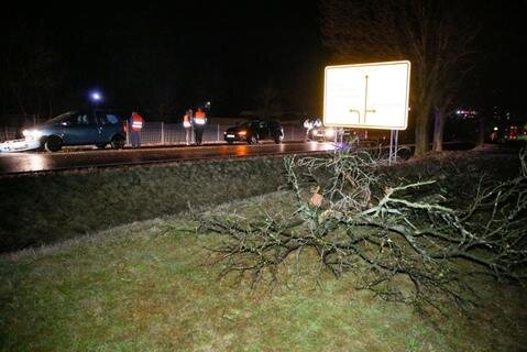 <p>Auf der S200 in Mittweida konnte eine 71-jährige Autofahrerin am Donnerstagabend einem umgestürzten Baum nicht mehr ausweichen.</p>
