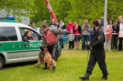 <p>Außerdem gab es Vorführungen der Hundestaffel der Polizei Sachsen.</p>
