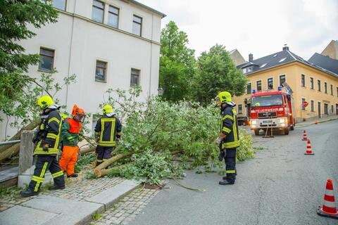 <p>In Buchholz fiel ein Baum auf die Katharinenstraße.</p>
