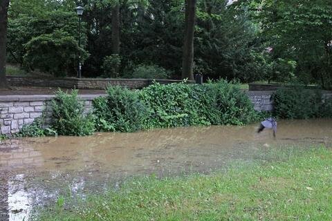 <p>Auch der angrenzende Schwanenpark mit Brunnen steht unter Wasser.</p>
