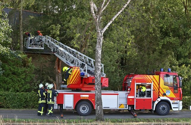 <p>Die Kameraden der Freiwilligen Feuerwehr Glauchau und Oberwiera haben den Baum stückweise abgetragen.</p>
