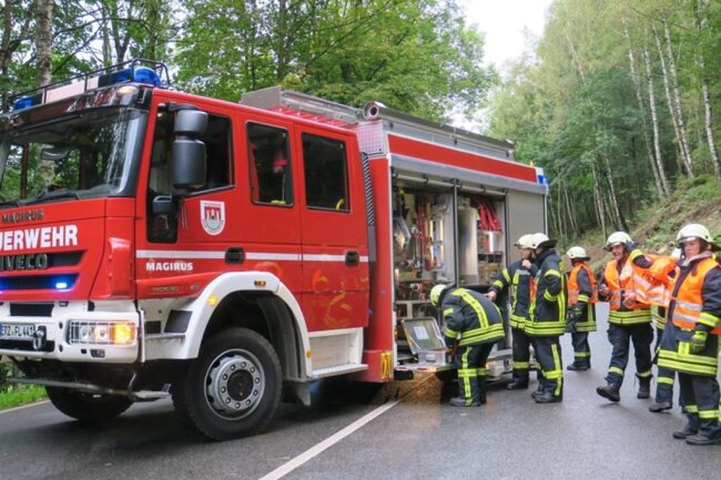 <p>Die Feuerwehr Lößnitz war mit elf Einsatzkräften vor Ort.</p>

