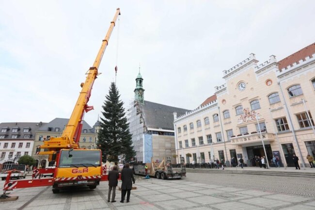 <p>Wie bereits im vergangenen Jahr hatte die stadteigene Veranstaltungsgesellschaft Kultur, Tourismus und Messebetriebe Zwickau GmbH ("Kultour Z.") zuvor darüber abstimmen lassen, welcher Baum auf dem Hauptmarkt stehen soll.</p>
