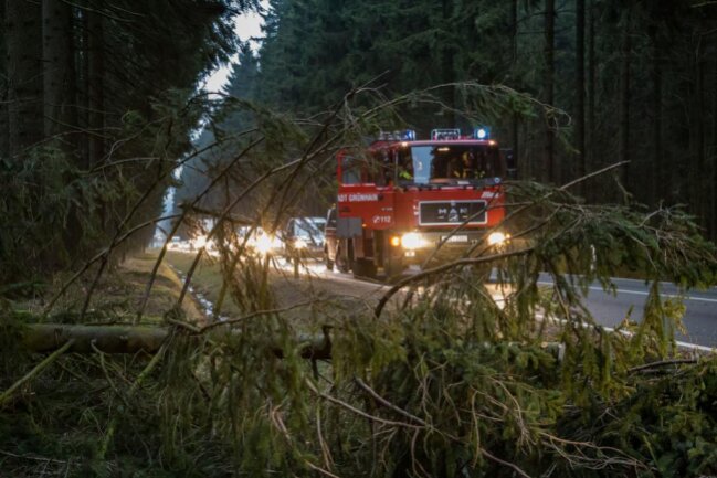 <p>In Grünhain-Beierfeld wurde ebenfalls ein Baum entwurzelt und blockierte die S270.</p>
