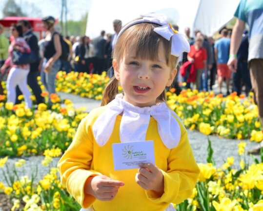 <p>Die vierjährige Lina vom Kindergarten "Windrädchen" aus Mühlbach verteilte Sonnenblumensamen.</p>
