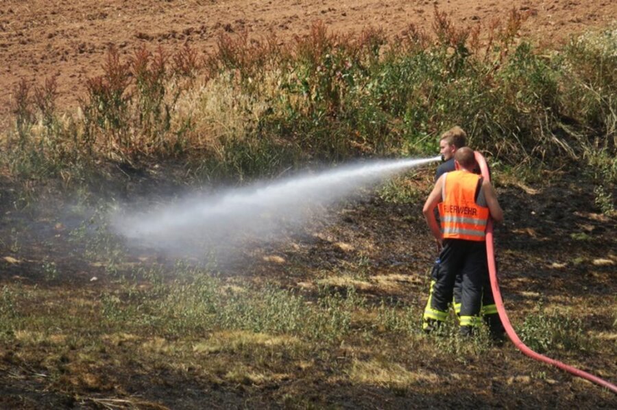<p>Nach ersten Angaben bekämpften die Feuerwehr Hartenstein und viele Feuerwehren aus der Region den Brand gemeinsam mit Bauern und Anwohnern.</p>
