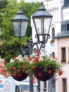 Auch in der Innenstadt von Reichenbach wurde fleißig bepflanzt und dekoriert. Die ganze Stadt bekleidet sich mit Blumen. 