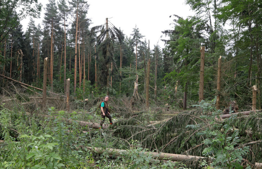 <p>Revierleiter Frank Günther von der Rotenhanschen Forstverwaltung Revier Oberwald verschafft sich einen ersten Überblick über die Schäden.</p>
