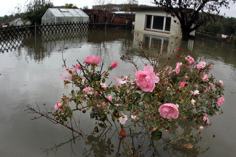 Auch dieser Kleingarten in Zittau blieb vom Hochwasser nicht verschont.