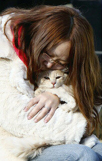 <p>
	Diese Frau schließt ihre Katze in die Arme - die beiden befinden sich in einem Evakuierungszentrum in Kawamatamachi.</p>
