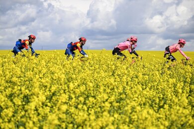 Fahrt im Frühlingswind: Durch blühende Rapsfelder führt das Eintagsrennen Flèche Wallonne der UCI Worldtour in Belgien.