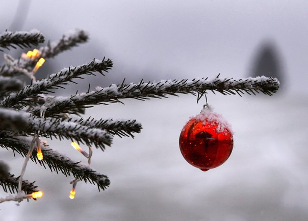 Endlich Weisse Weihnacht Hier Schneit Es Zum Fest Freie Presse