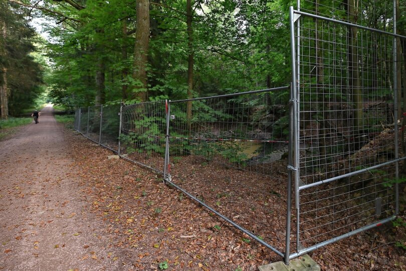 Direkt an einem Hauptweg im Nonnenwald bei Höckendorf ist seit Monaten ein kleiner Tümpel mit einem Bauzaun abgesperrt. Gerüchten zufolge sollte hier alte Munition liegen.