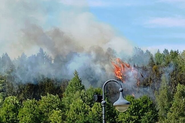 1,5 Hektar Wald brennen in Werdau - Der Waldbrand auf dem Kranzberg in Werdau beschädigte rund 1,5 Hektar Wald. 