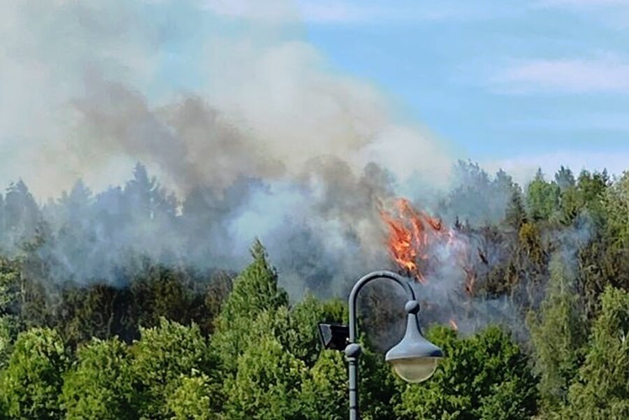 Der Waldbrand auf dem Kranzberg in Werdau beschädigte rund 1,5 Hektar Wald. 