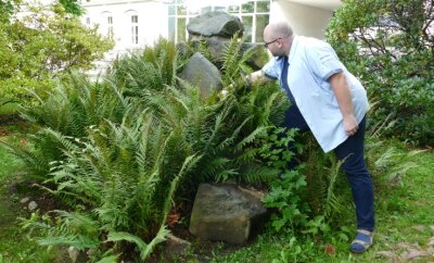 100 Jahre altes Denkmal schlummert im Seminargarten - Obwohl das Denkmal zugewachsen ist, erkennt Carsten Beier noch immer den Stein, auf dem sich früher eine Inschrift befand. 