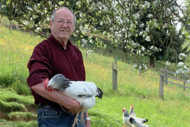 Lothar Kretzschmar im Garten mit seinen Italienern Weiß-Schwarzcolumbia. Seit 56 Jahren hält er dieser Rasse die Treue, noch länger züchtet er seine Schwarzschild-Pfautauben. 