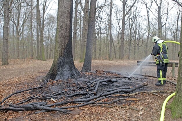 12-Jähriger legt Feuer im Wald - 