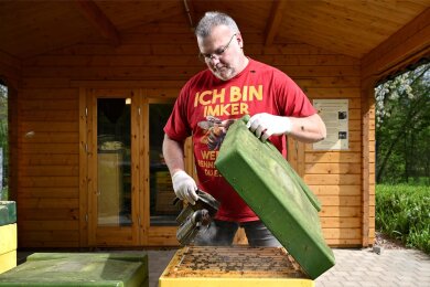 Sven Richter aus Frankenberg imkert seit 33 Jahren. In der rechten Hand hält er einen sogenannten Smoker. Mit diesem Gerät erzeugt er Rauch, der die Bienen besänftigt. Auf seinem T-Shirt steht: „Ich bin Imker - wenn ich renne, solltest du es auch“.
