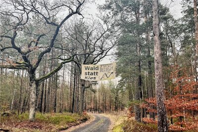 Eine Protestlosung hängt zwischen den Bäumen des Dresdner Heidebogens. Etwa 130 Hektar Wald sollen hier einem weiteren Tagebau des Kieswerkes Ottendorf-Okrilla (KWO) weichen. 