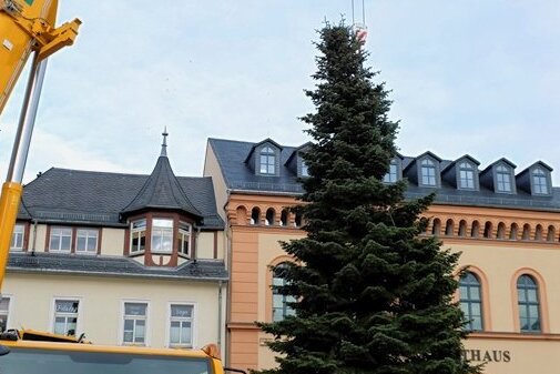 15 Meter hohe Tanne vorm Reichenbacher Rathaus aufgestellt - Diese 15 Meter hohe, schmale Tanne steht vorm Rathaus.