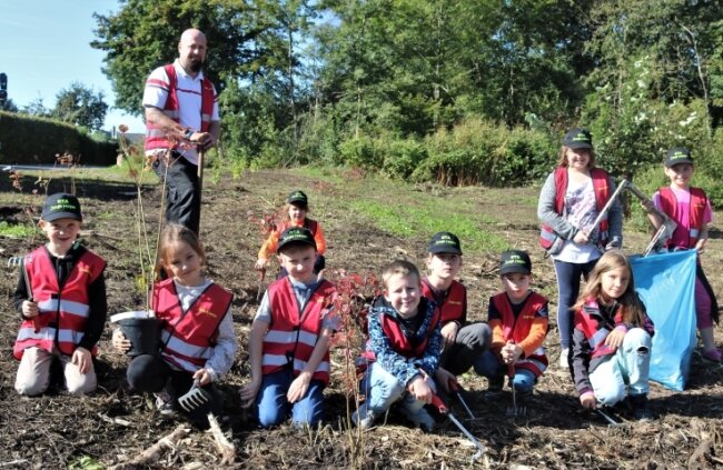 Knut berger essay 08 image