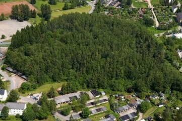 16.000 Bäume auf Halde 65 in Bad Schlema gefällt: Wo Ersatz hinkommt - Blick auf die alte Halde 65 vor der Sanierung - damals noch ein großer Hügel mit Wald. 