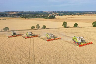 Niklas Polster ist Agrar-Influencer. Das heißt, er fotografiert Landwirtschaftstechnik bei der Arbeit. Diese Drohnenaufnahme vom 19. Juli 2022 zeigt vier baugleiche Claas Lexion 770 tt auf einem Feld in der Nähe von Frohburg.