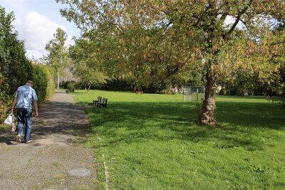 Der Stadtpark bekommt den Löwenanteil am EU-Fördergeld. Das Areal soll komplett umgestaltet werden und auch mit Spiel- und Freizeitangeboten ausgestattet werden.
