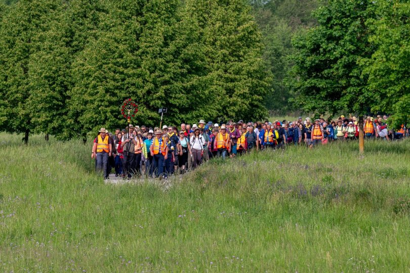 Kilometerlanger Zug: Zahlreiche Pilger starten zur größten Fußwallfahrt Deutschlands. Bis Samstag wollen die Gläubigen von Regensburg aus ins etwa 111 Kilometer entfernte Altötting laufen.