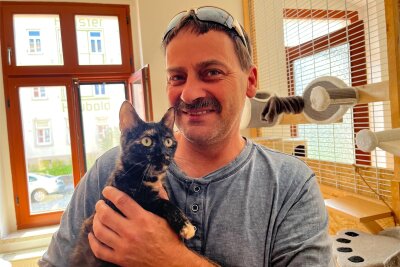 Mike Sonntag ist Chef des Tierschutzvereins Frankenberg, der derzeit viele Katzen zur Vermittlung hat.