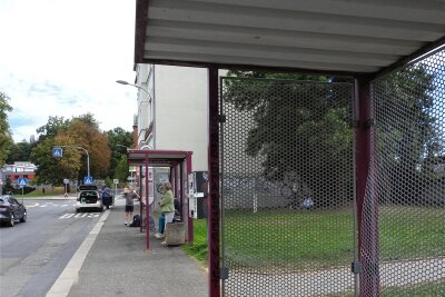 An diesen beiden Bushaltestellen an der Zwickauer Straße haben Unbekannte die Wände beschädigt.
