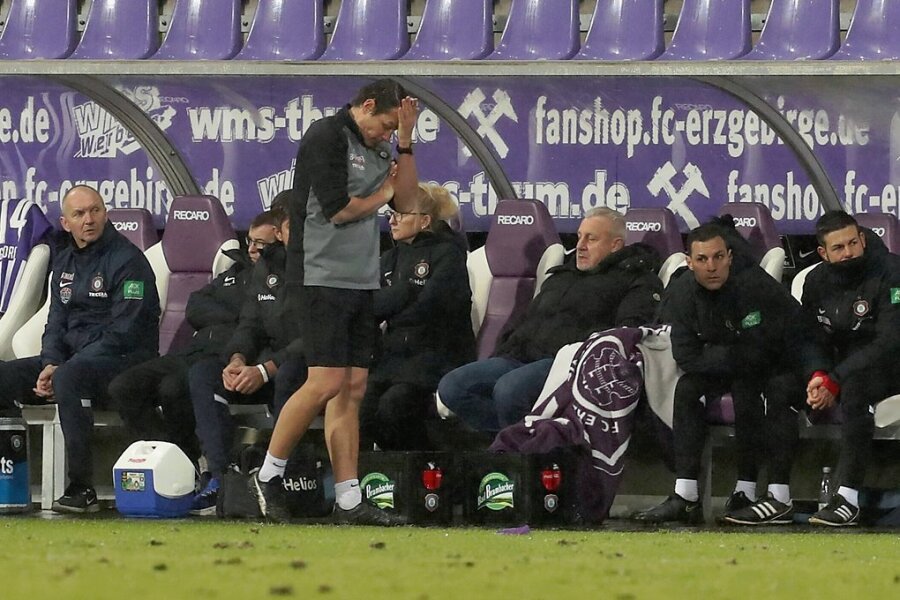Frustriert und ratlos nach dem 0:5 gegen Schalke: Aues Teamchef Marc Hensel (stehend) und Sportdirektor Pavel Dotchev (3. von rechts) konnten nicht mehr hinsehen.