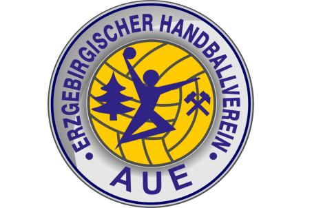 2.Handball-Bundesliga: EHV Aue verliert gegen TSG Friesenheim - 