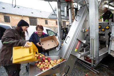 20 Sorten Apfelkuchen locken viele Besucher nach Kleingera - Monique Weiser (links) hilft Elke Gebler ihre Äpfel in die mobile Mosterei zu schütten.