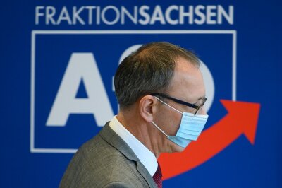 2021: CDU schwächelt - AfD wieder Sachsens Nummer 1 bei Bundestagswahl - 