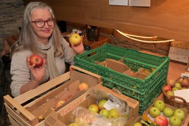 Apfellager im Keller: Anja Markert mit den ersten Früchten für den großen Kuchen. In ihren Händen hält sie einen Roten Boskoop (l.) und einen Jakob Lebel (r.).