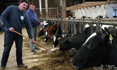 22-Jähriger bleibt auf elterlichem Hof - 
              <p class="artikelinhalt">Rainer Damm (vorn) mit seinem Vater Wolfgang beim Füttern im Milchviehstall. </p>
            
