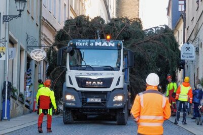 24-Meter-Baum soll ab Dienstag Annaberger Markt zieren - Die Große Kirchgasse wird auch in diesem Jahr wieder zum Nadelöhr. Im Bild der Transport des Baums im November vorigen Jahres.