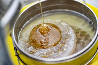 Lecker Honig naschen – das soll im neuen Jahr bei einem Projekt auch auf der Rochsburg möglich werden.