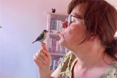 Evelyn Pilz und ihr Mann nahmen am Pfingstsonntag drei Blaumeisenjunge in Obhut. Inzwischen sind sie ausgeflogen.