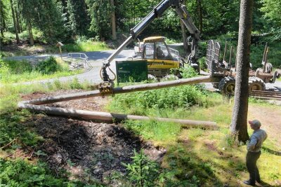 Sieht nach Forstarbeiten aus, sind aber keine: An der Doppelbrücke werden Baumstämme abgeladen, die für Bauarbeiten am neuen Holzerlebnisweg zwischen Ellefeld und Beerheide bestimmt sind.