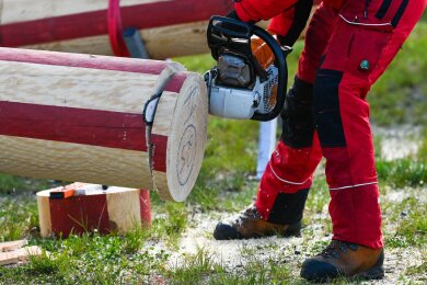 Die Kettensäge einer Teilnehmerin arbeitet sich in den Baumstamm vor. In Eisleben findet die 13. Mansfelder Holzfällermeisterschaften statt.
