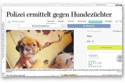 Die „Freie Presse“ berichtete am 5. September erstmals über den Hundezuchtbetrieb in Erdmannsdorf. Vorausgegangen war eine Kontrolle des Grundstücks durch Landratsamt, Stadt und Polizei sowie polizeiliche Ermittlungsverfahren.