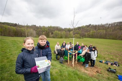 Karla Luise (links) und Vincent Alexander, beide Schüler der 4. Klasse der Montessori-Grundschule Plauen, halfen bei der Pflanzaktion für den Baum des Jahres.